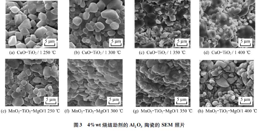 圖3 4%wt 燒結(jié)助劑的氧化鋁 陶瓷的SEM 照片