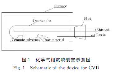 圖１　化學(xué)氣相沉積裝置示意圖