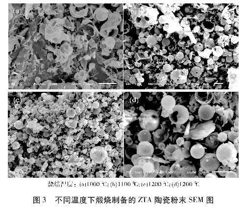 圖3  不同溫度下煅燒制備的ZTA陶瓷粉末SEM圖