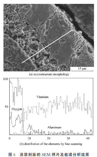 圖６　涂層剖面的ＳＥＭ 照片及能譜分析結(jié)果