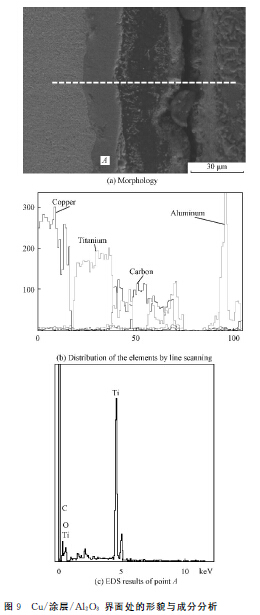 圖９?。茫酰繉樱粒欤玻希?界面處的形貌與成分分析