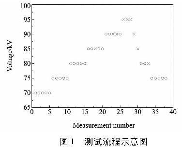 圖1  測試流程示意圖