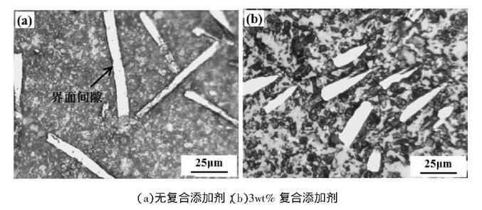 圖2 陶瓷基復(fù)合材料的顯微組織